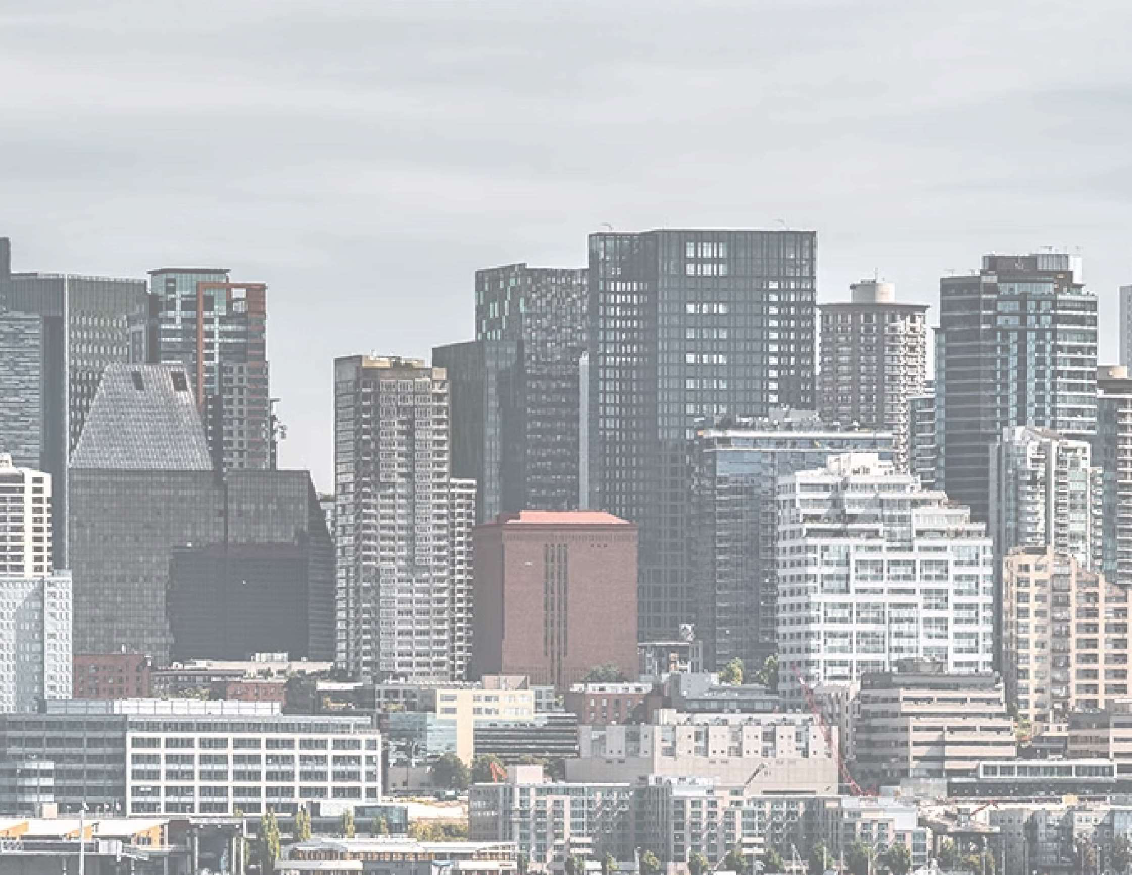 Auckland city skyline